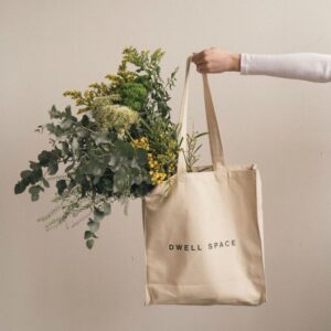 Flores y las plantas